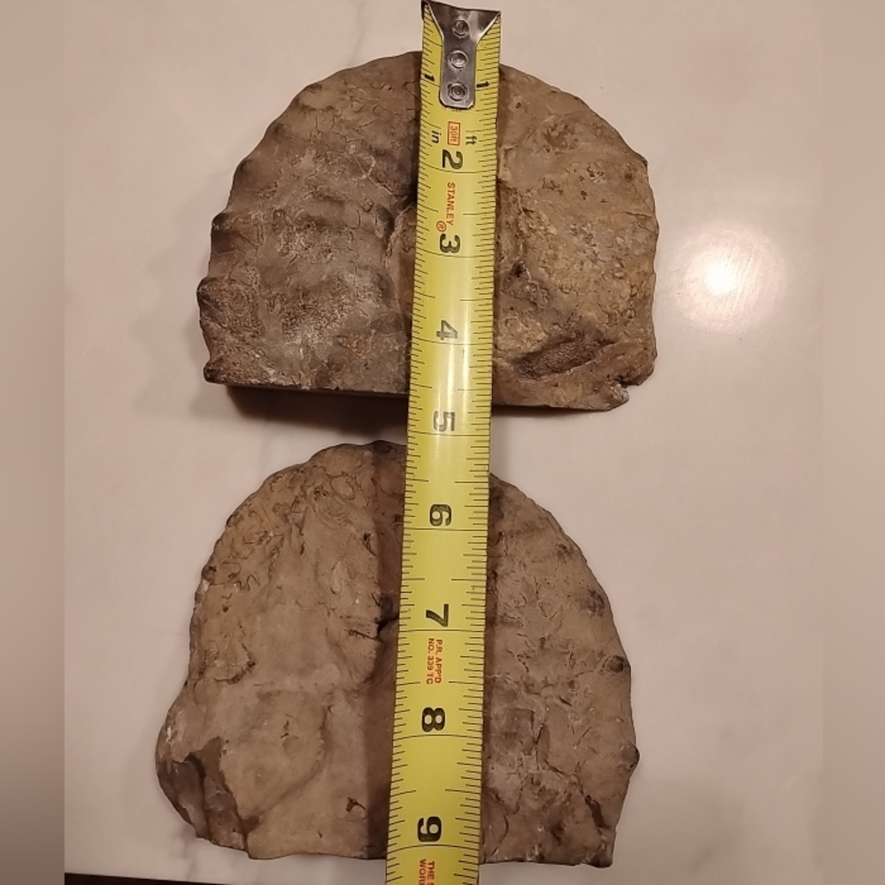 Ammonite Fossil Authentic Matched Pair Set Polished Natural Eco Decor Bookends - Picture 10 of 10